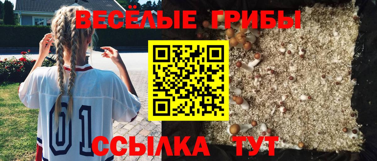 Галлюциногенные грибы MAGIC MUSHROOMS Избербаш