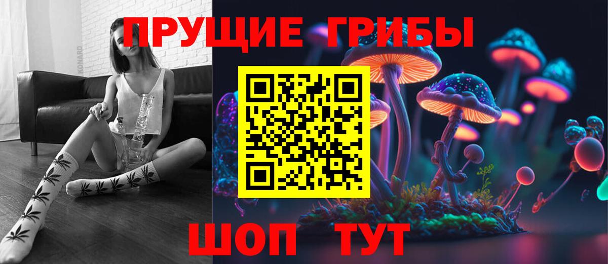 Галлюциногенные грибы Psilocybe  Вход с VPN  Избербаш 